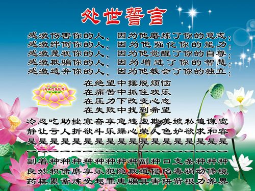 儿童kaiyun官方网站体能运动器材清单(儿童运动器材有哪些图片)